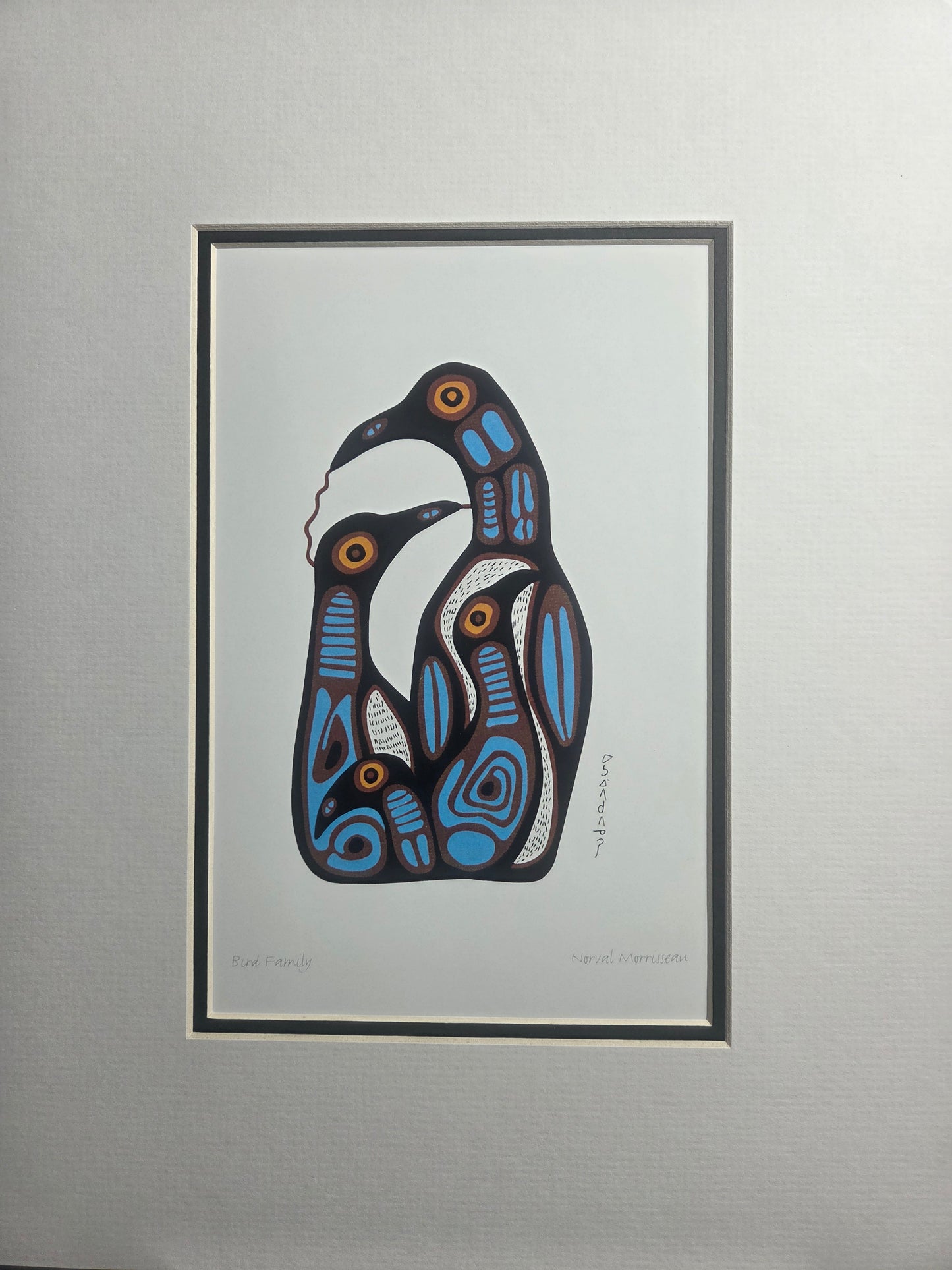 Bird Family