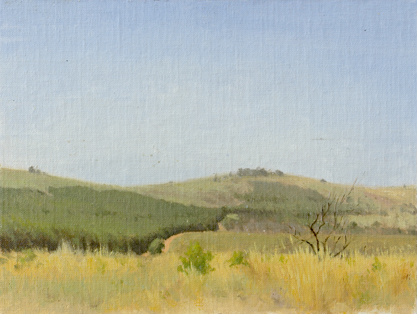 Paisaje de Zamora
