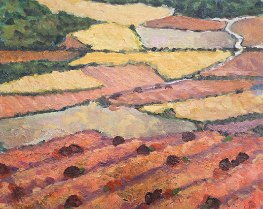 Surroundings of Burgos XV