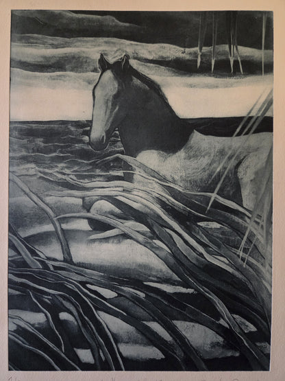 Caballo en la playa
