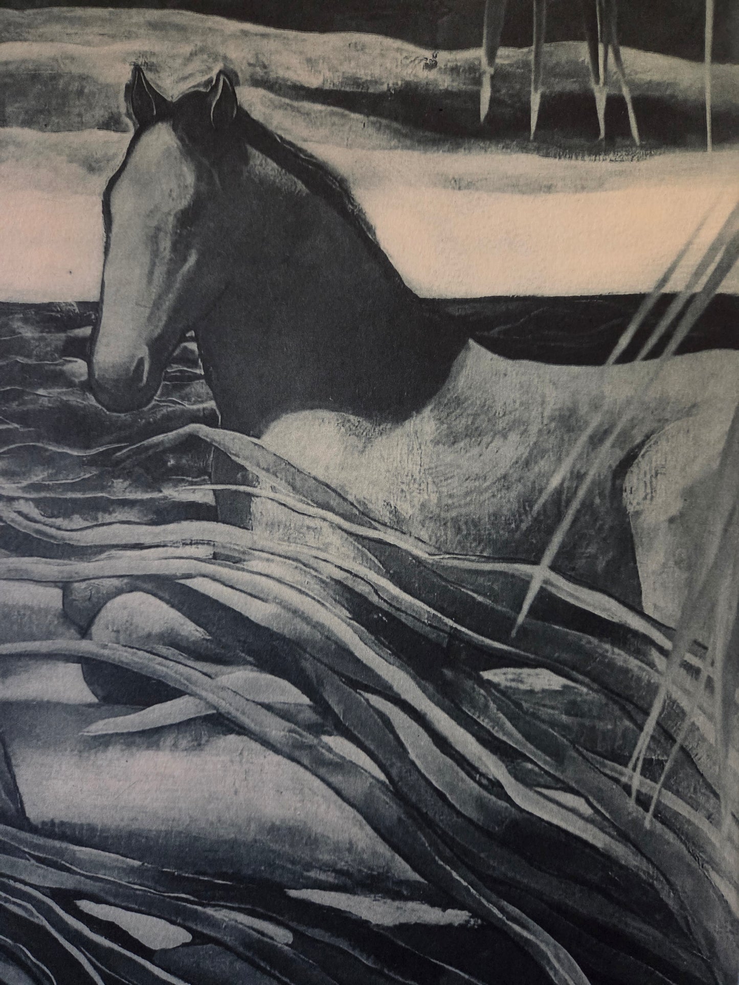Caballo en la playa