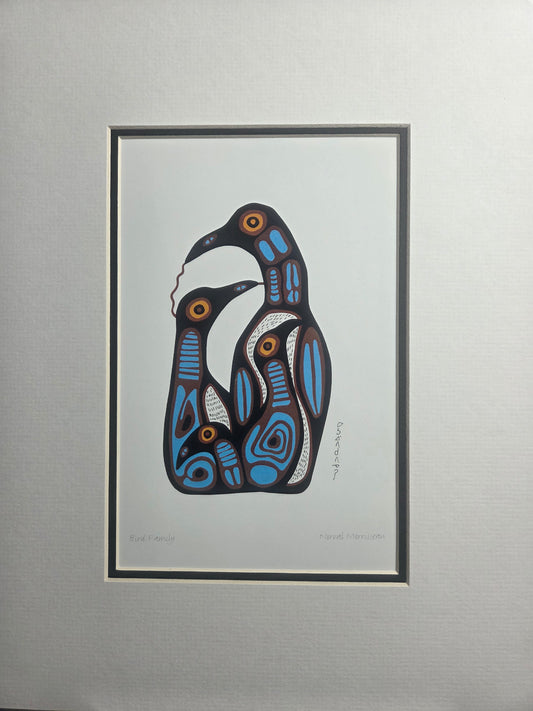 Bird Family