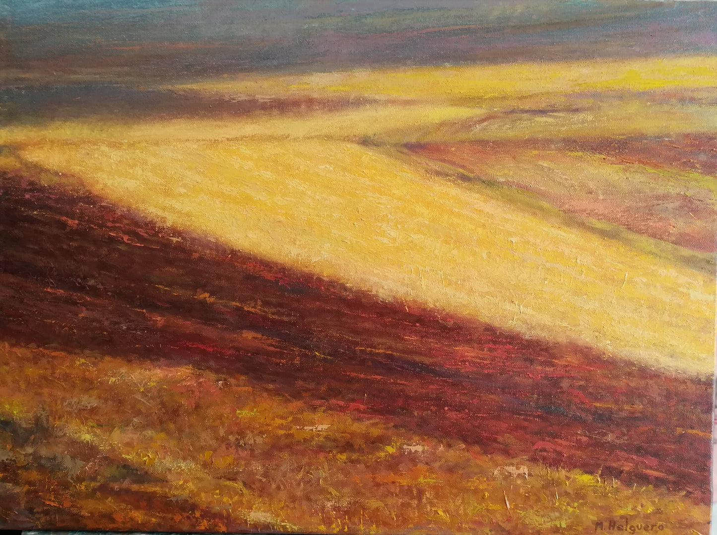 Campos de Guadalajara