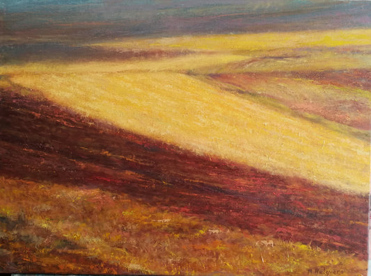 Campos de Guadalajara