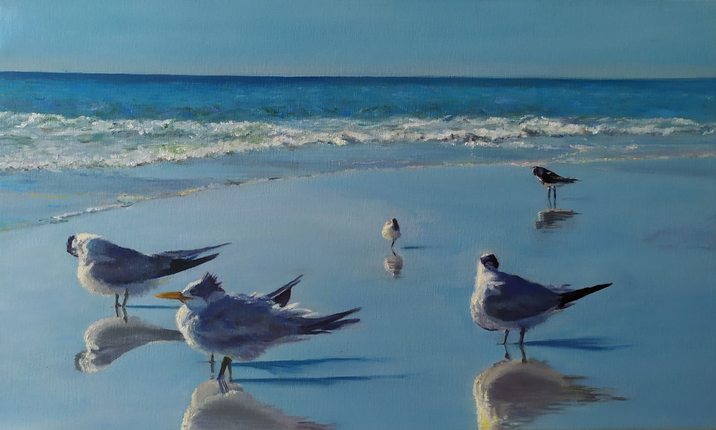 Henderson beach, Florida
